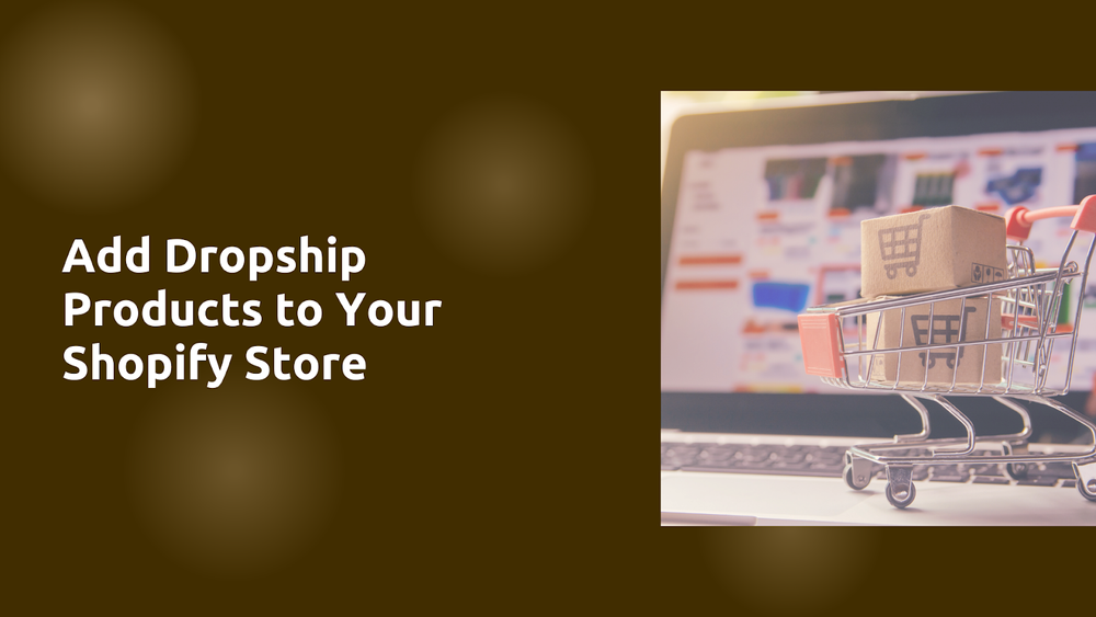 How to Add Dropship Products to Your Shopify Store (2025) post image