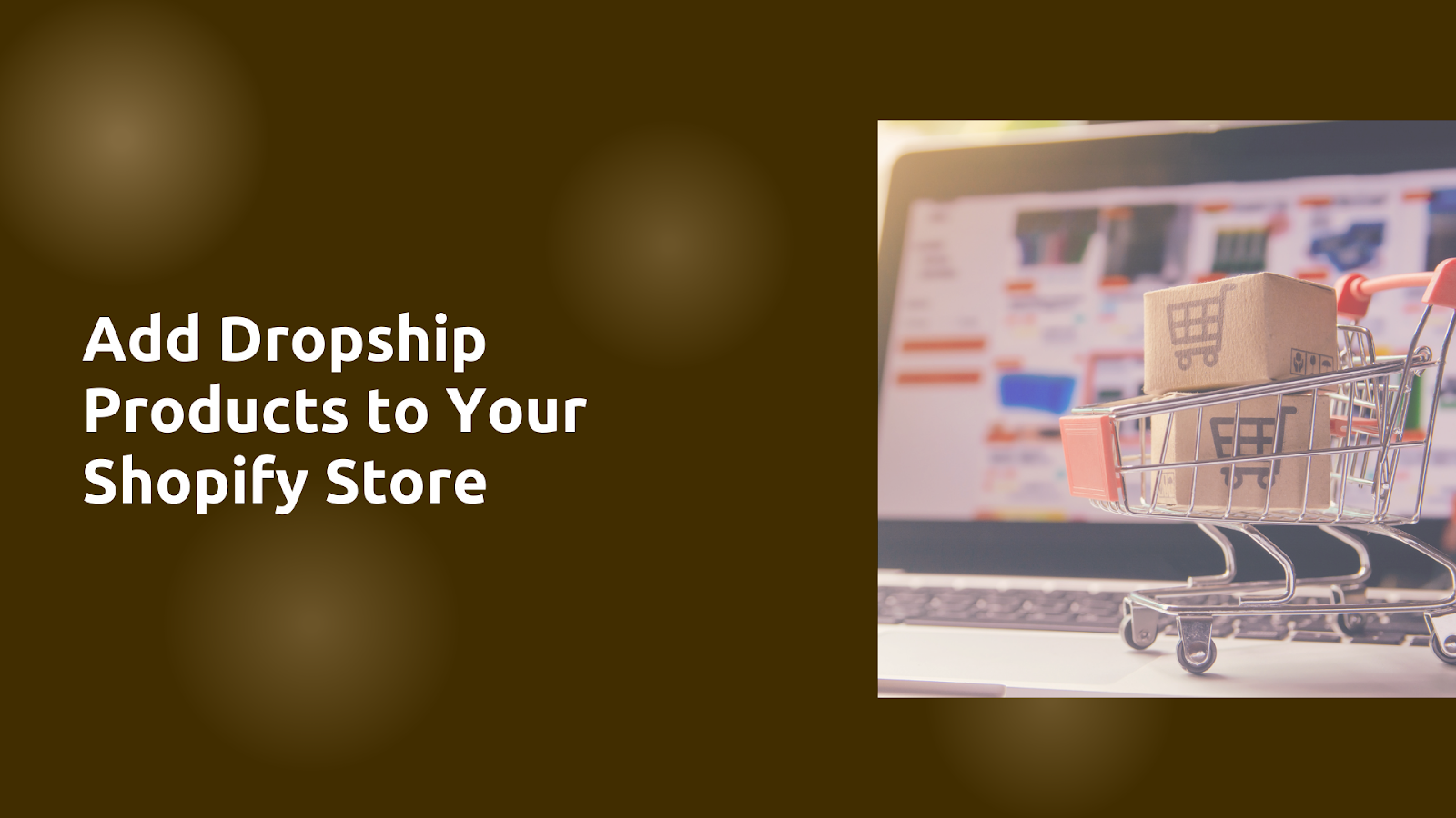 How to Add Dropship Products to Your Shopify Store (2025)