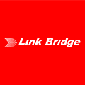 Link Bridge Logo